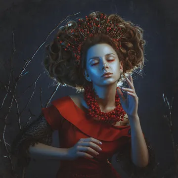 VIP尊享场景视觉